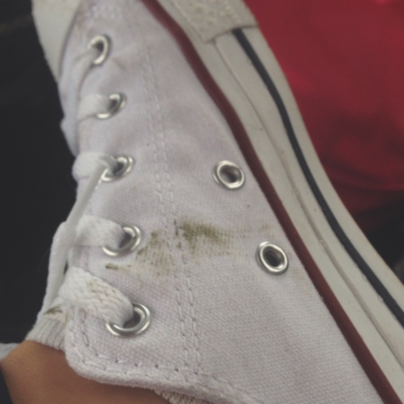 Meet your Posher, Mackenzie - Picture 1 of 1