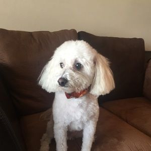 Meet your Posher, Lana