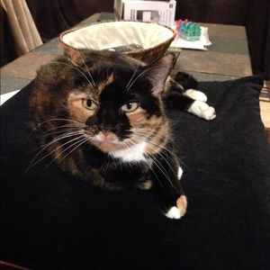 Meet your Posher, Emmaline