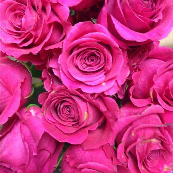 Meet your Posher, Alondra