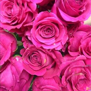 Meet your Posher, Alondra