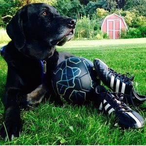 Meet your Posher, Becky