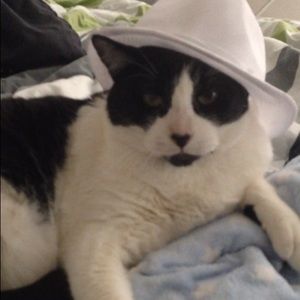 Meet your Posher, Renee