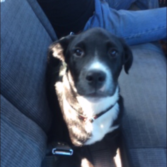 Meet your Posher, Julia - Picture 1 of 1