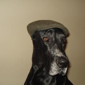 Meet your Posher, Maureen