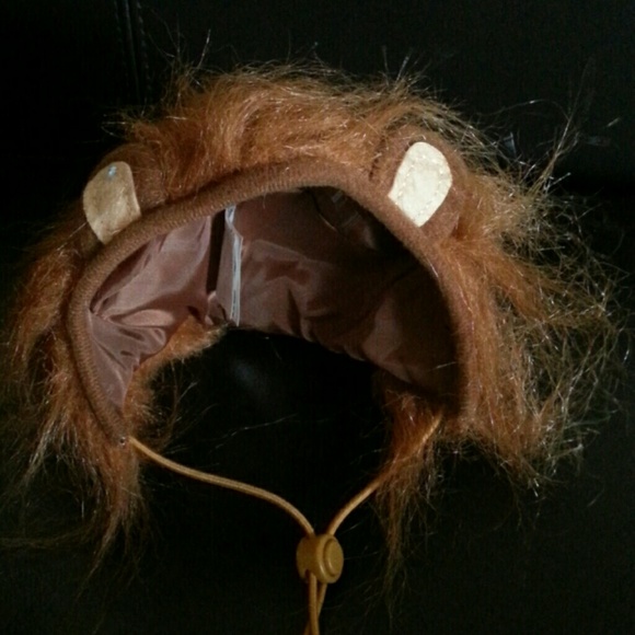 🐯 Lion Costume 🐯