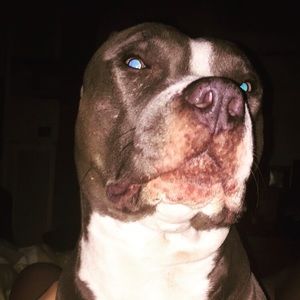 Meet your Posher, Morgan