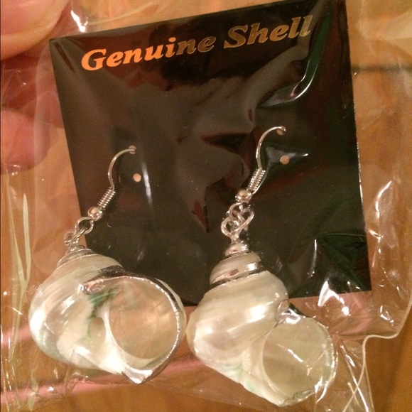 Genuine shell earrings