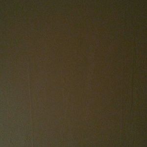 Meet your Posher, Hector