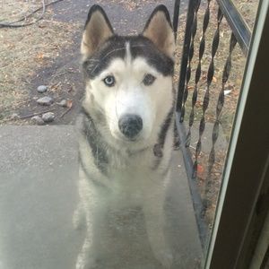 Meet your Posher, Jackie