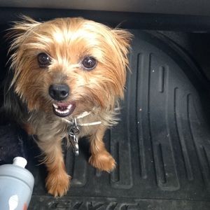 Meet your Posher, Nikki