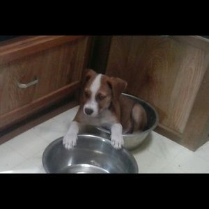 Meet your Posher, Kristyl