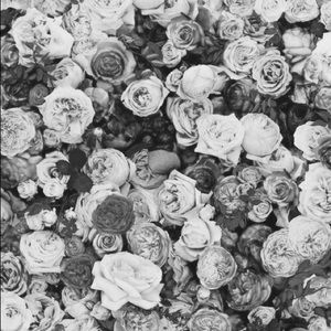 Meet your Posher, Holy