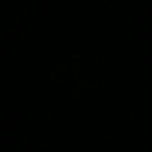 Meet your Posher, Christy