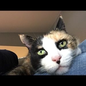 Meet your Posher, Terri