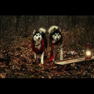 Meet your Posher, Kathleen