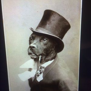 Meet your Posher, Jon