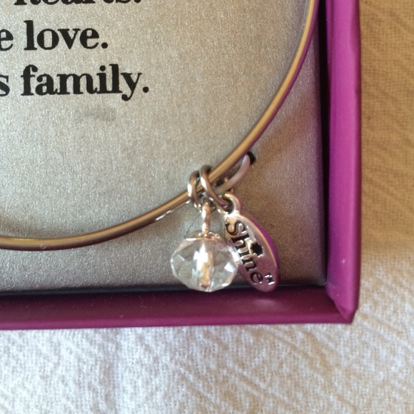 NWT Stainless Steel FAMILY Adjustable Bracelet - Picture 4 of 4