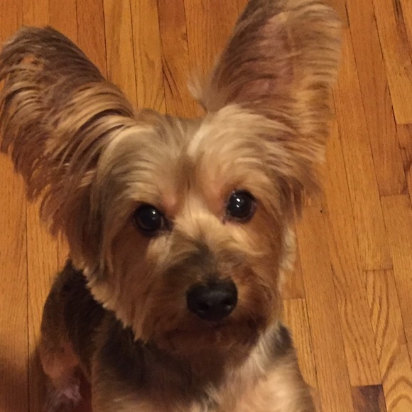 Meet your Posher, Tammy