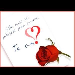 Meet your Posher, Benjamin