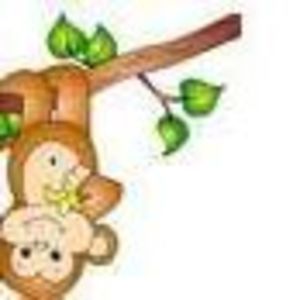 Meet your Posher, Tracey