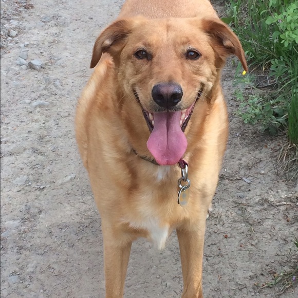 Meet your Posher, Lisa - Picture 2 of 2