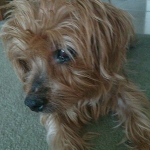 Meet your Posher, Tiffany