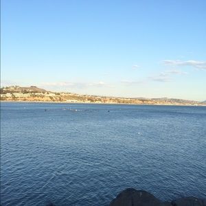 Meet your Posher, Daniella