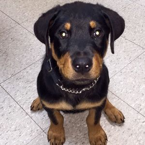 Meet your Posher, Carolyn