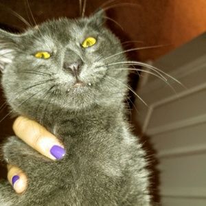 Meet your Posher, Catherine