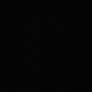 Meet your Posher, Allen