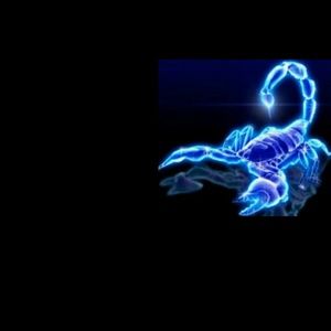 Meet your Posher, Dorismal