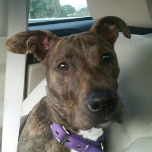 Meet your Posher, Jamie