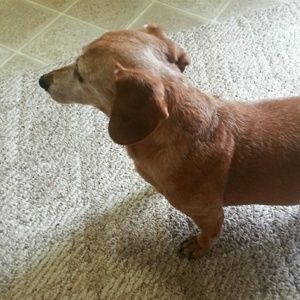 Meet your Posher, Eileen