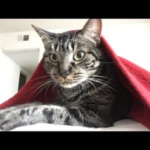 Meet your Posher, Hannah