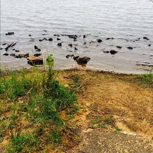 Meet your Posher, Kaitlin