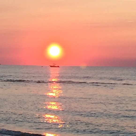 Nanette Lapore Skirt