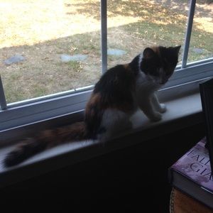 Meet your Posher, Ashley