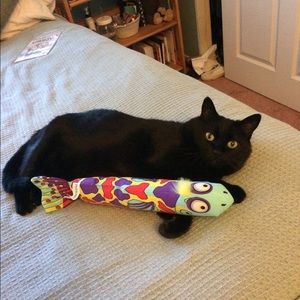 Meet your Posher, Holly