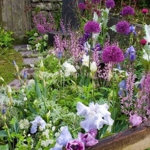 Meet your Posher, Pamela