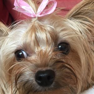 Meet your Posher, Madison