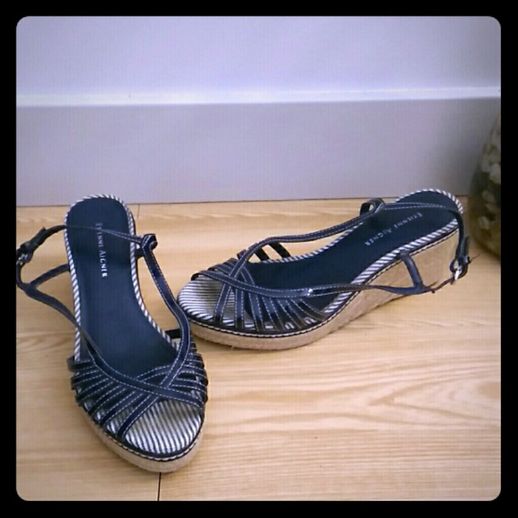 Etienne Aigner Navy Blue Wedges - Picture 1 of 4