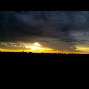 Meet your Posher, Tanya