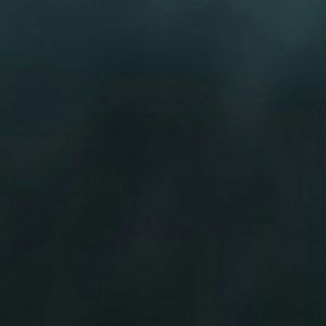 Meet your Posher, Shealynn