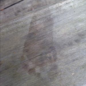 Meet your Posher, Liss