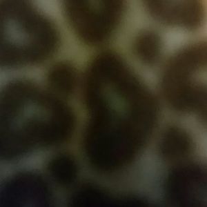 Meet your Posher, Tamra