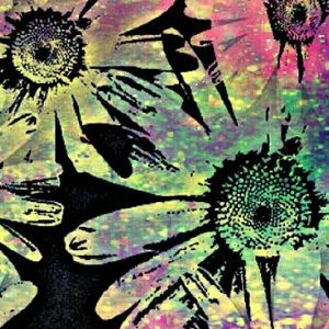 Meet your Posher, Shellie