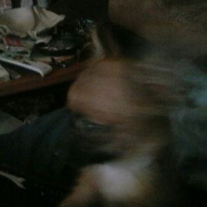 Meet your Posher, Cathee