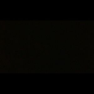 Meet your Posher, Rose