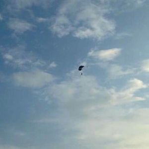 Meet your Posher, Nicholas